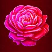 Simbol Rose v zlati lepoti