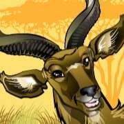 Simbol antilope v igri Mega Money